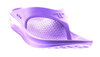 Energy Flip Flop